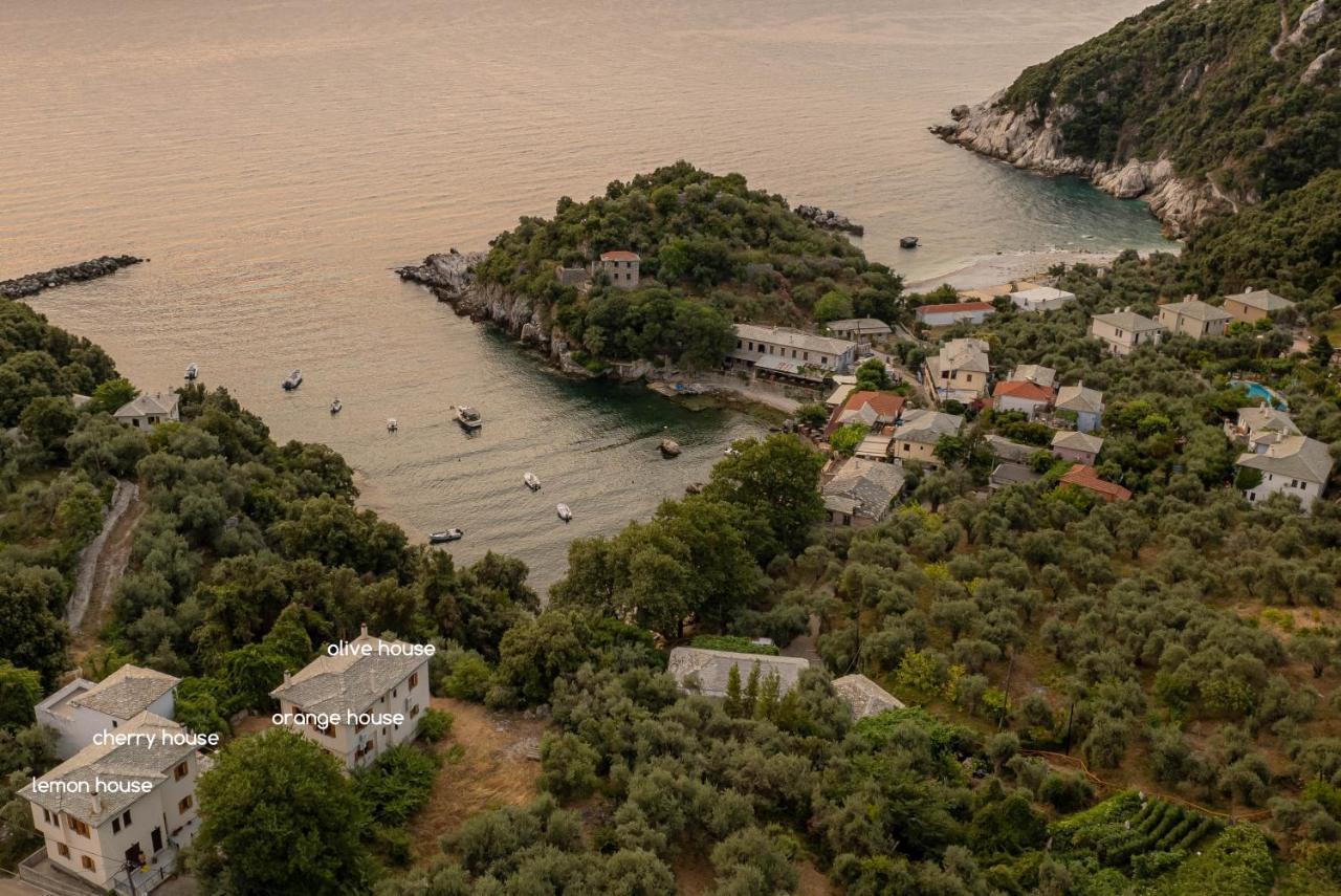 Olive House In Damouchari With A Sea View - Delicious Houses Экстерьер фото